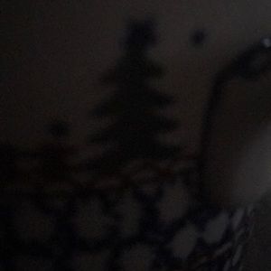 Meet your Posher, Marianne